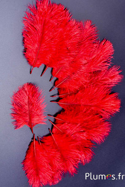 Strauss Bellies - 8-13 cm - rot